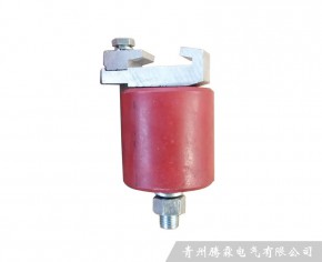 绝缘子组件